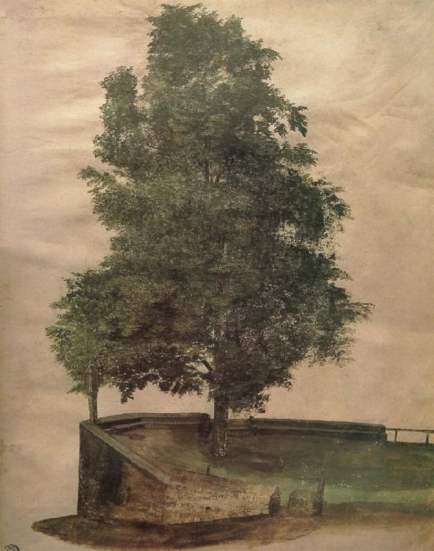 Albrecht Durer Linden Tree on a Bastion oil painting image